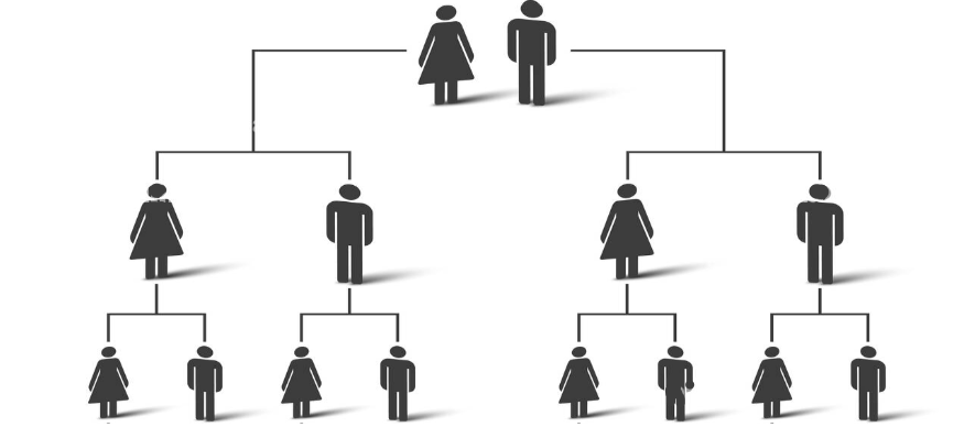 basic family tree structure
