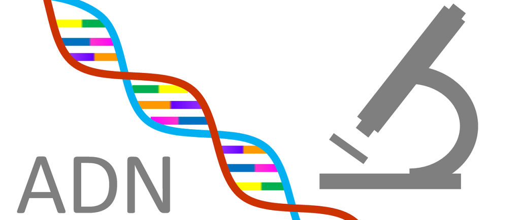 Les tests ADN: Comment s'y retrouver?