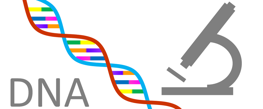 DNA tests are all the rage in modern genealogy